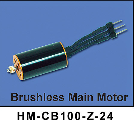 Brushless main motor